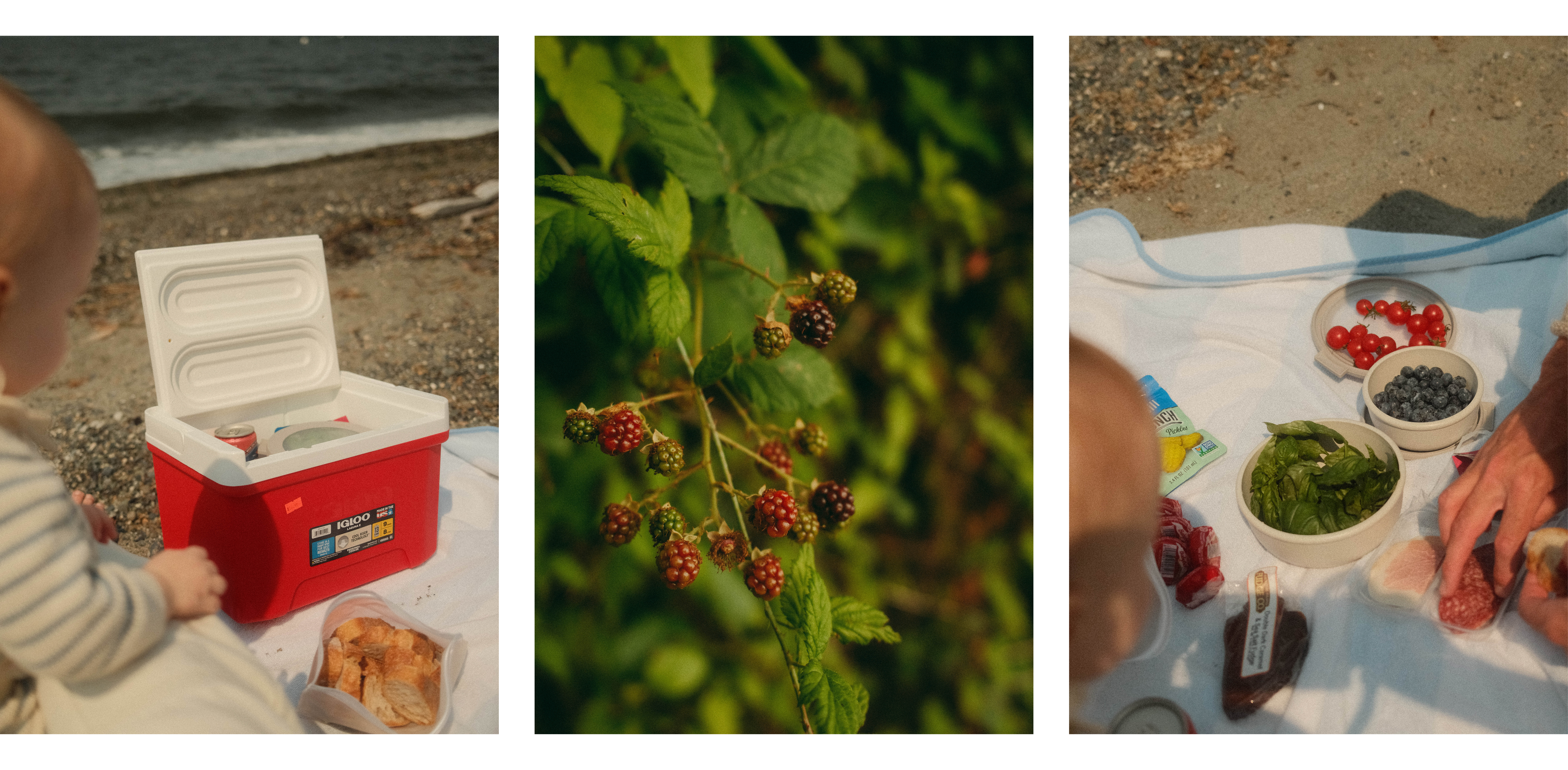 3 images together of a baby on a beach having a picnic, blackberries on a bush, and a picnic blanket with food